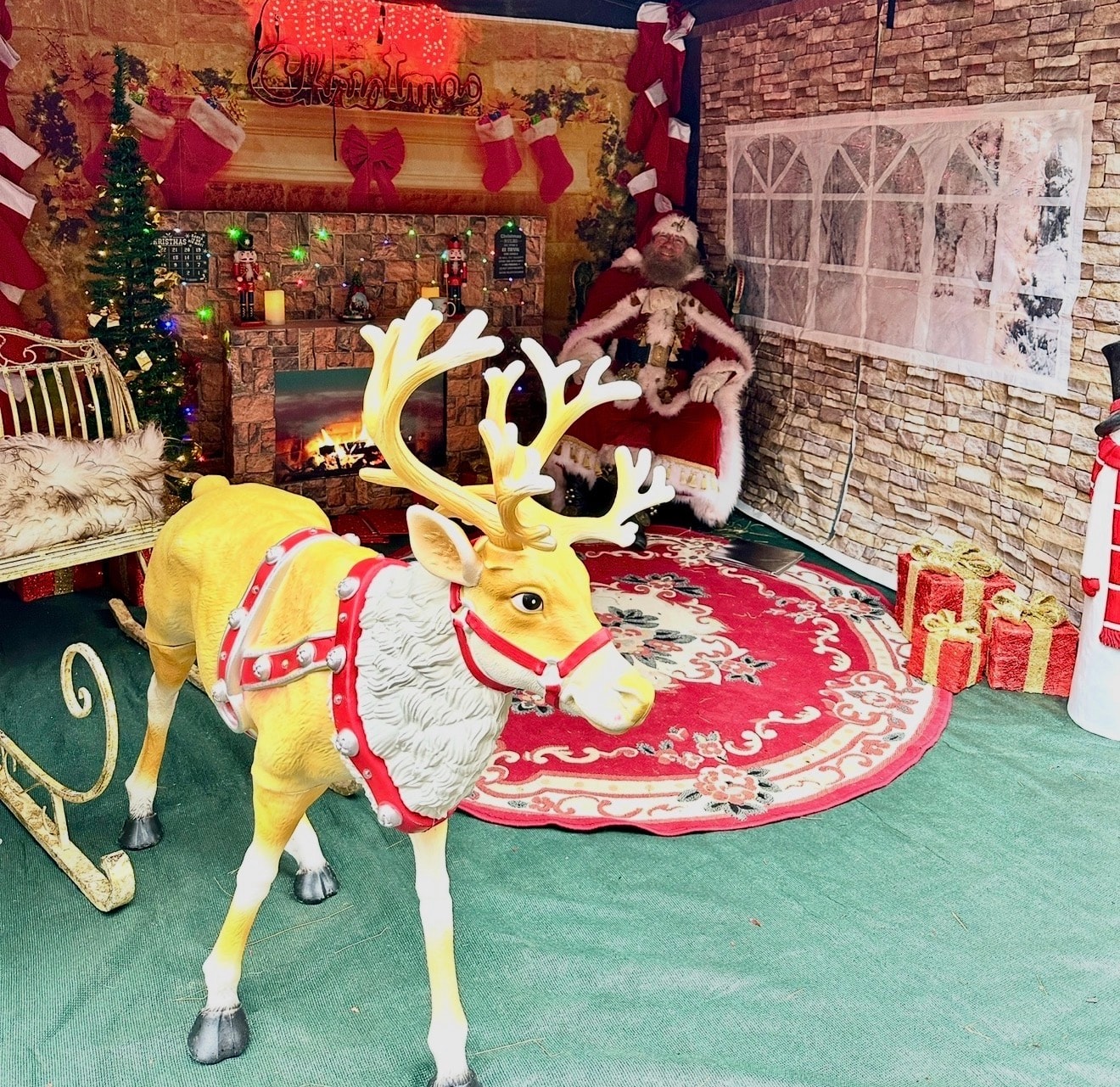 The real beard, the warm smile — completely authentic Father Christmas